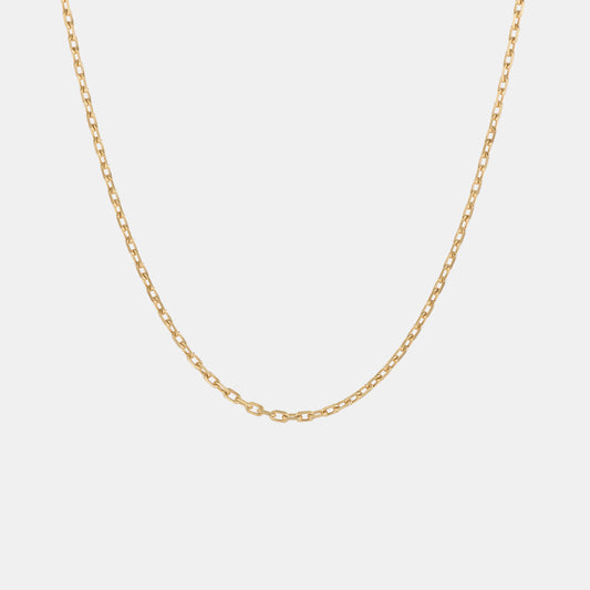 Anchor 2.2mm Chain Necklace in Yellow Gold