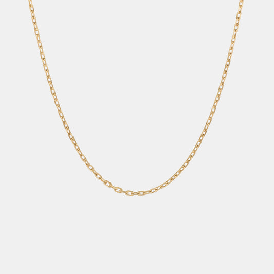 Anchor 2.2mm Chain Necklace in Yellow Gold
