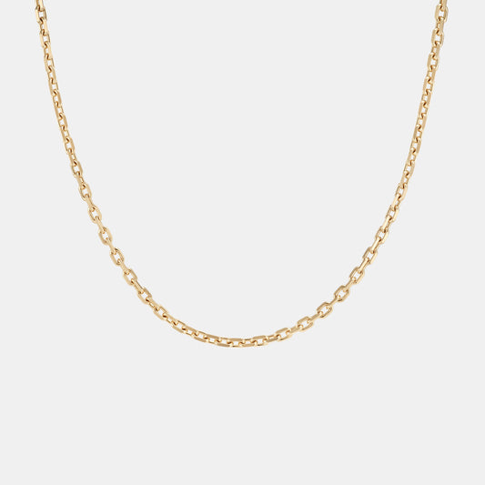 Anchor 2.54mm Chain Necklace in Yellow Gold