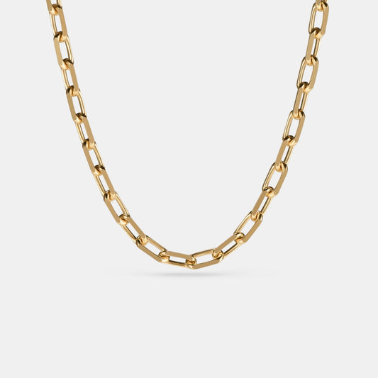Anchor 3.8mm Chain Necklace in Yellow Gold